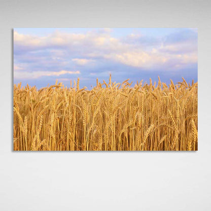 Canvas Wall Art Print Wheat field