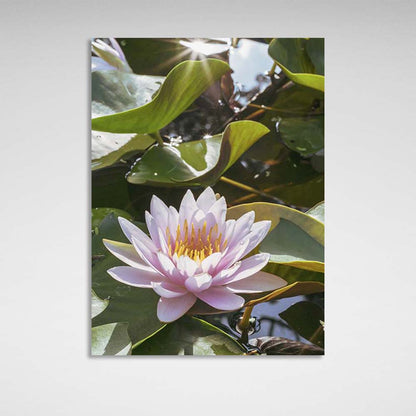 Canvas Wall Art Print Lotus Flower