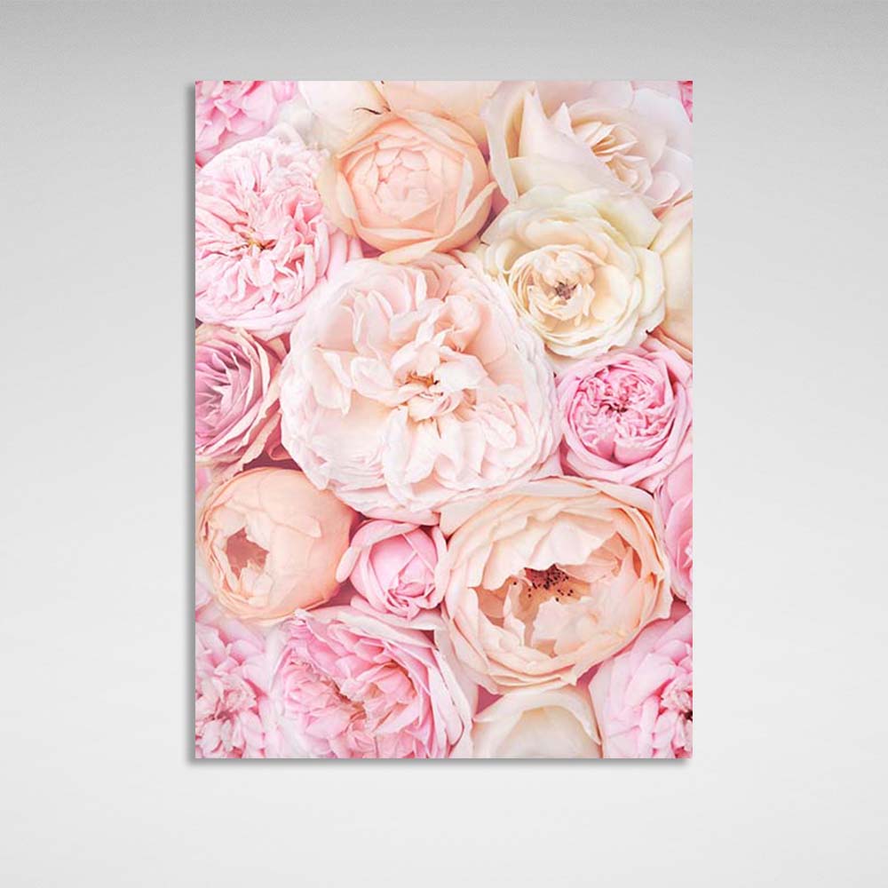 Canvas Wall Art Print Pink peonies