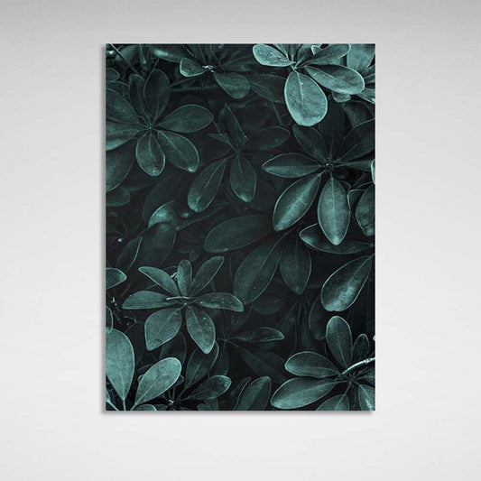 Canvas Wall Art Print Schefflera bush