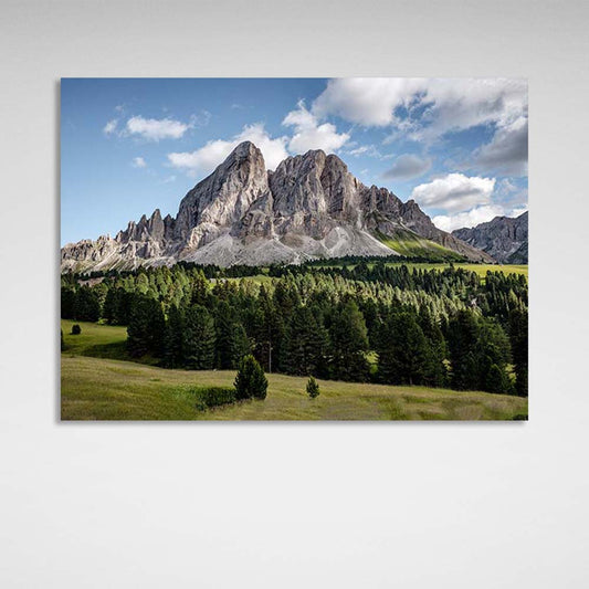 Canvas Wall Art Print Alpine forest