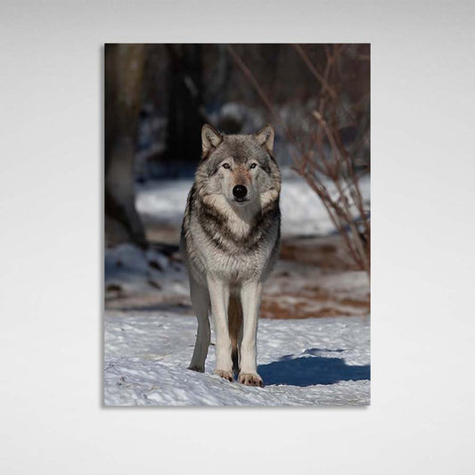 Canvas Wall Art Print Wolf in the winter forest