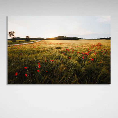 Canvas Wall Art Print Poppy Field