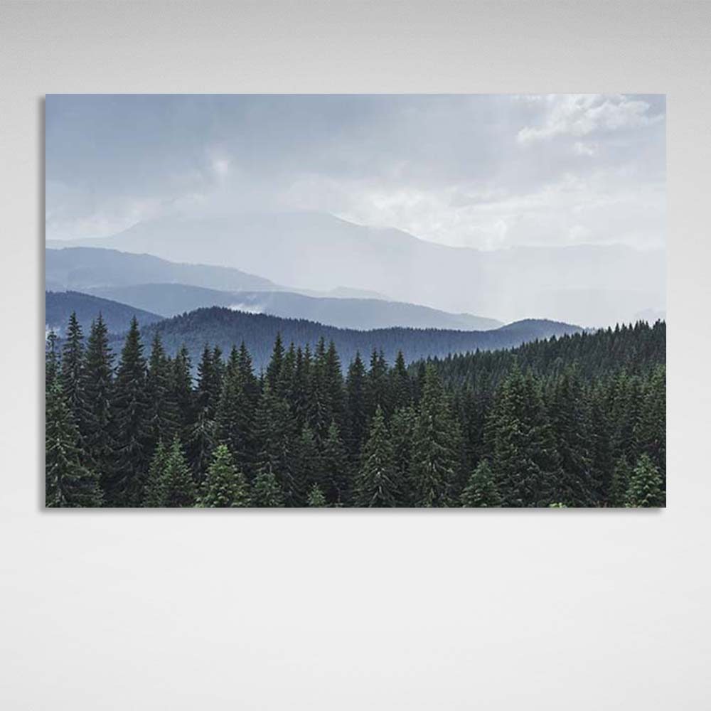 Canvas Wall Art Print Carpathian Forest