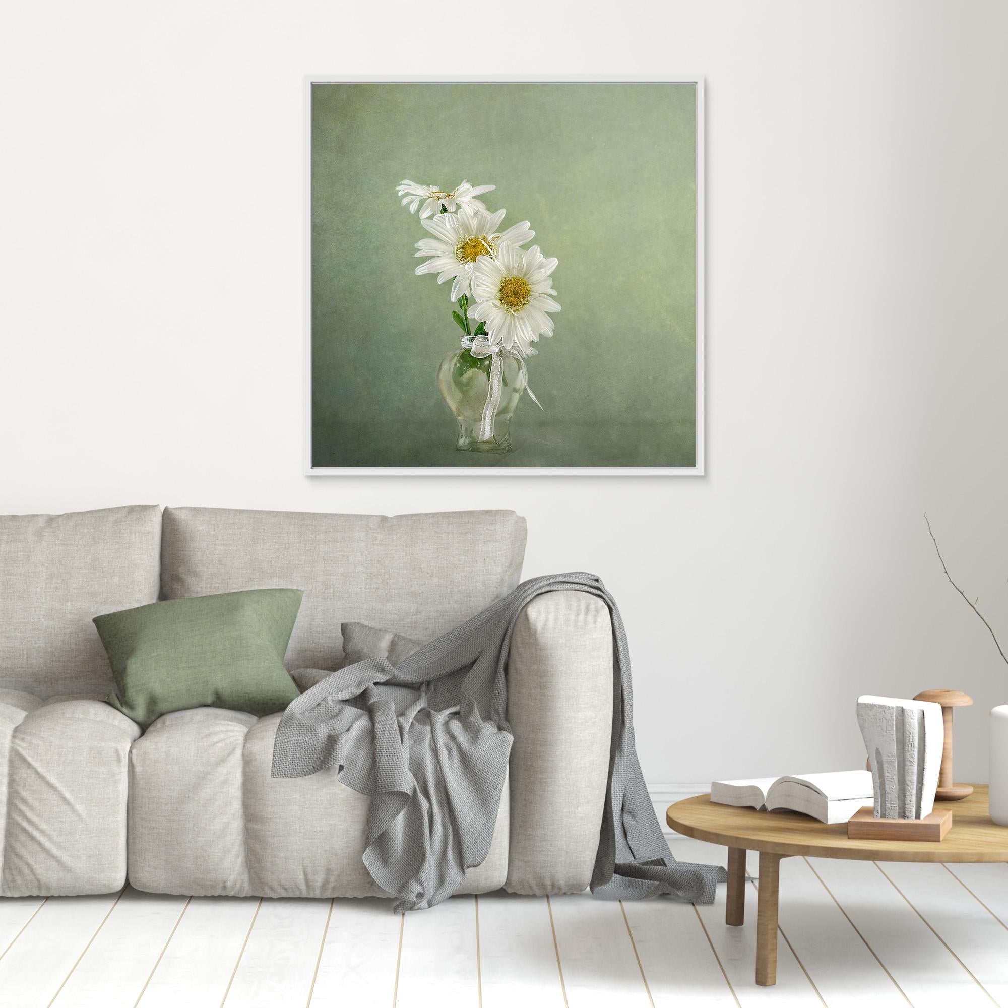 3 White Daisies 