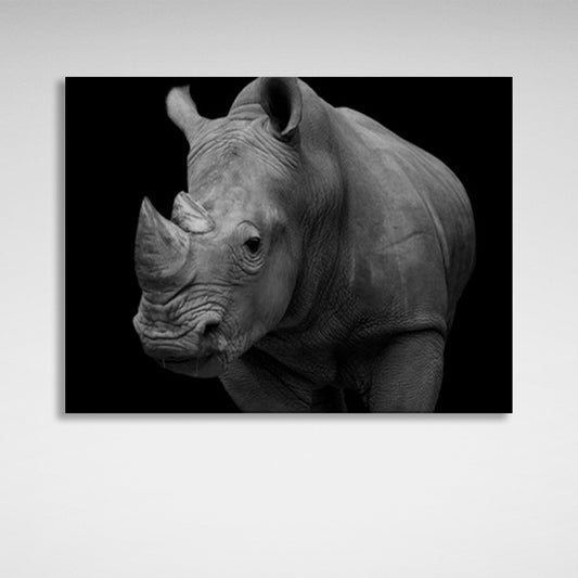 Rhinoceros on black background Canvas Wall Art Print