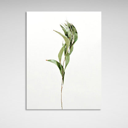 Green branch on white background Canvas Wall Art Print