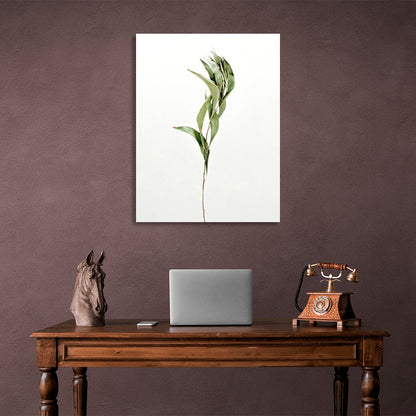 Green branch on white background Canvas Wall Art Print