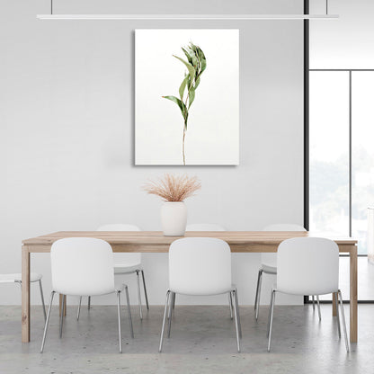 Green branch on white background Canvas Wall Art Print