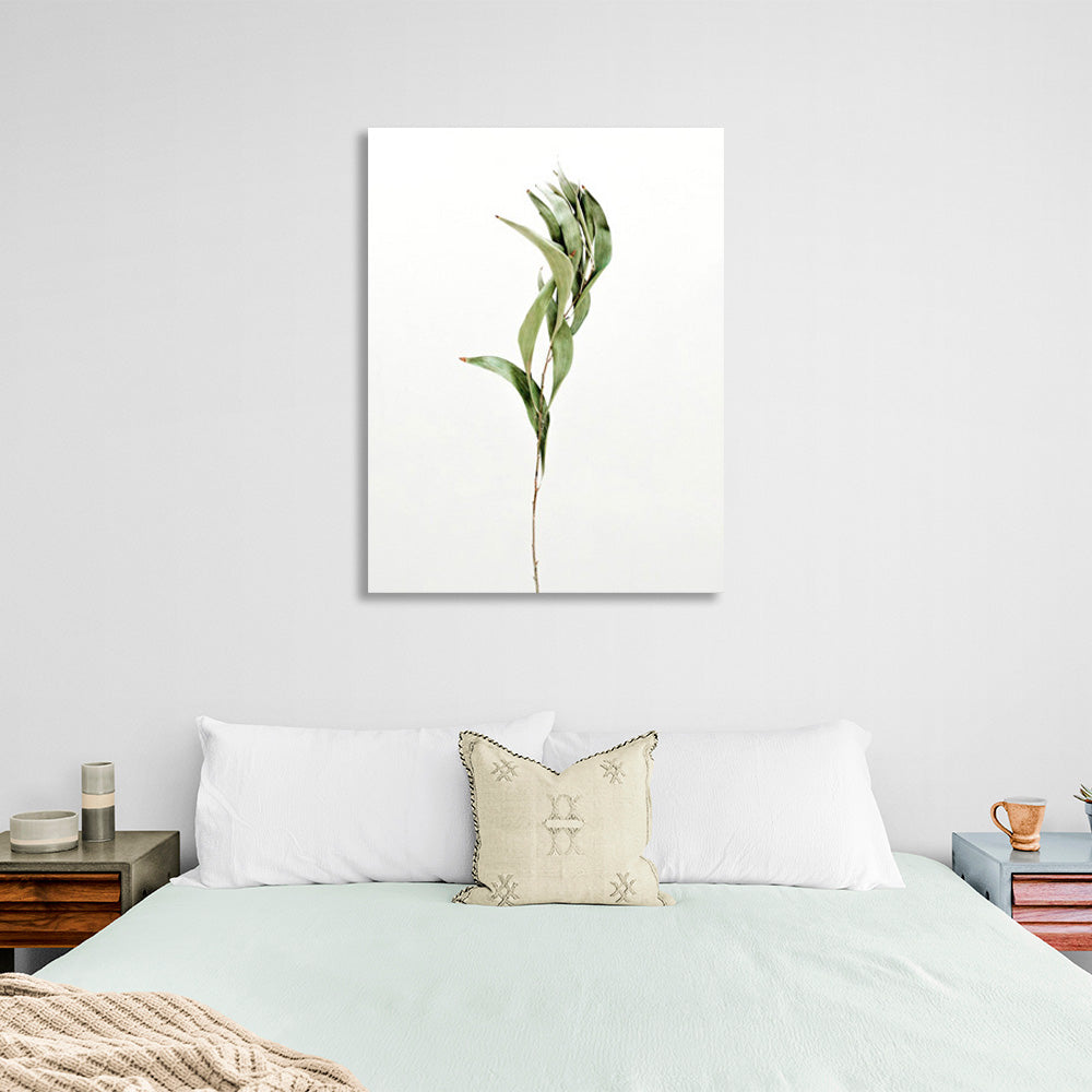 Green branch on white background Canvas Wall Art Print