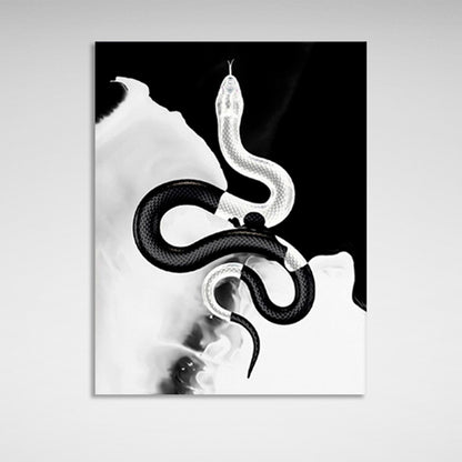 Black and white snake on a black and white background Canvas Wall Art Print