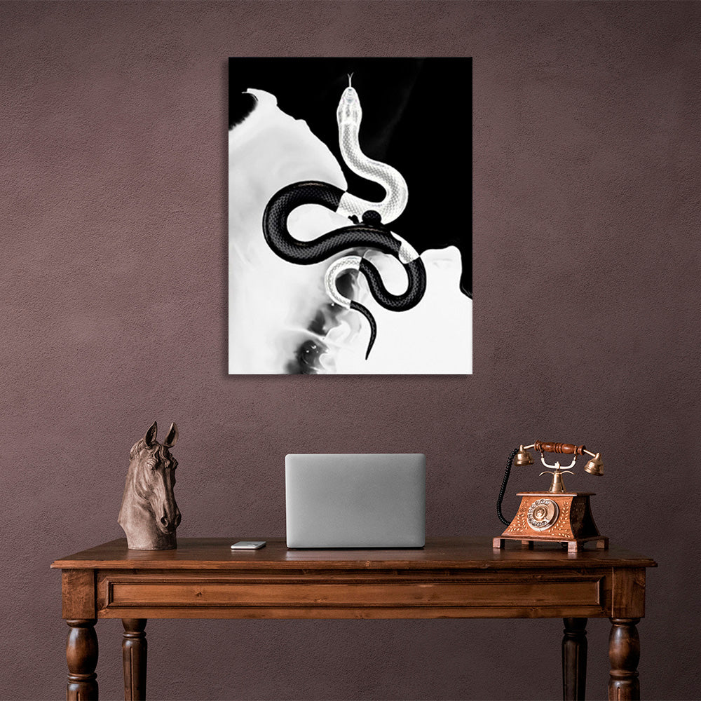 Black and white snake on a black and white background Canvas Wall Art Print