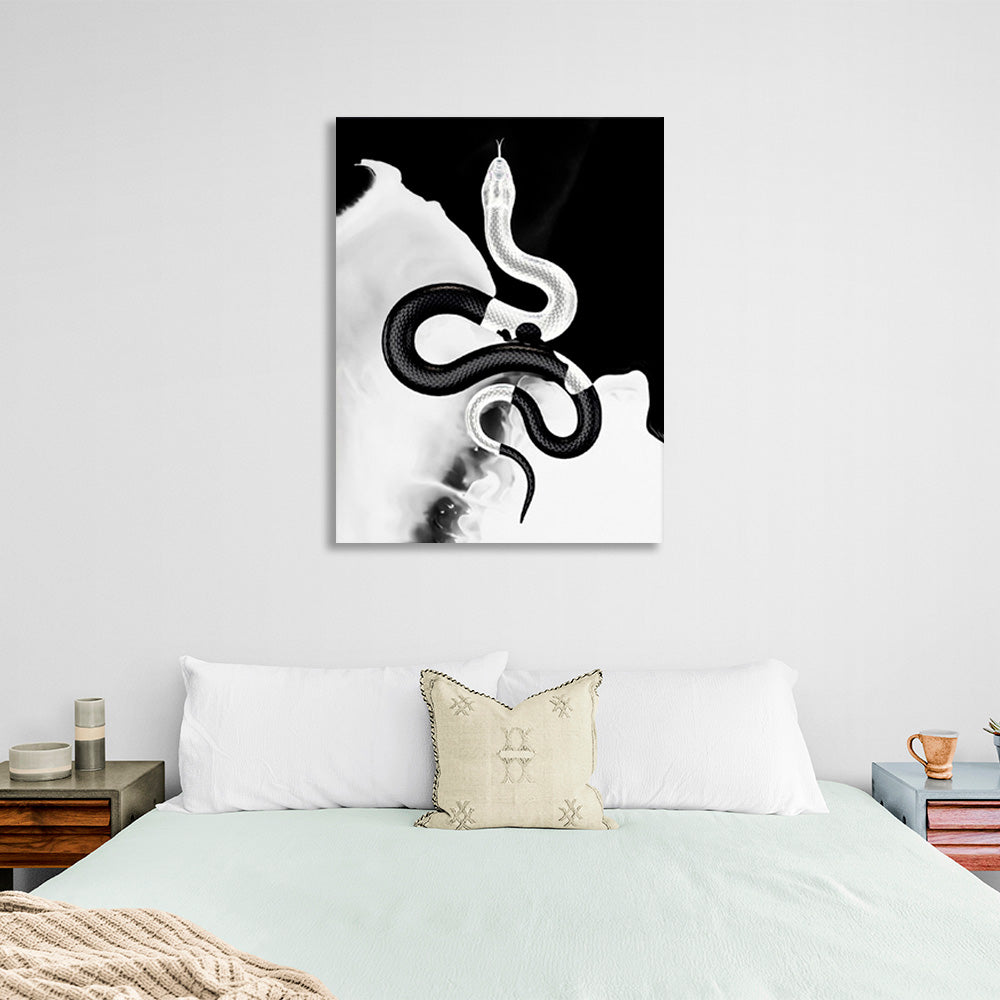 Black and white snake on a black and white background Canvas Wall Art Print