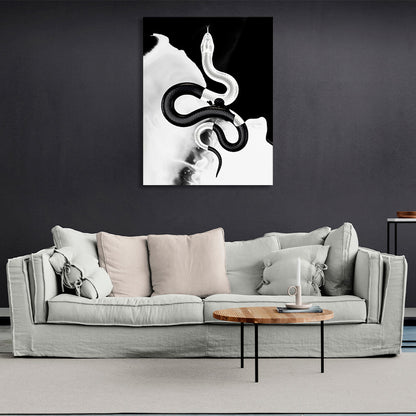 Black and white snake on a black and white background Canvas Wall Art Print