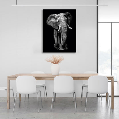 Huge elephant on a black background Canvas Wall Art Print