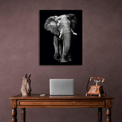 Huge elephant on a black background Canvas Wall Art Print