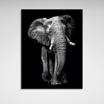 Huge elephant on a black background Canvas Wall Art Print