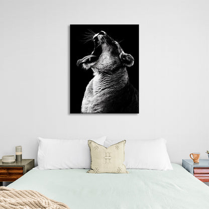 A lioness on a black background Canvas Wall Art Print