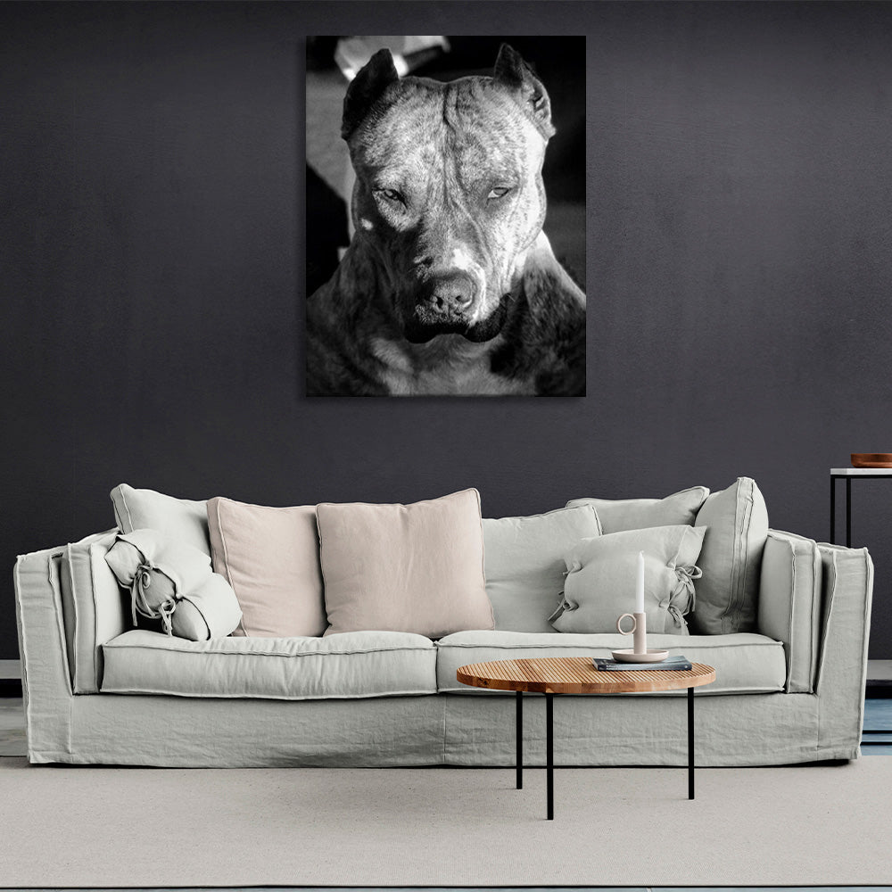 Pitbull terrier Canvas Wall Art Print