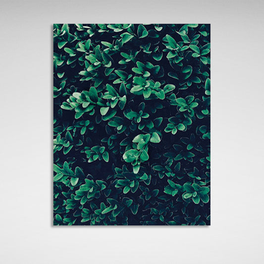 Brightly saturated green vegetation Canvas Wall Art Print