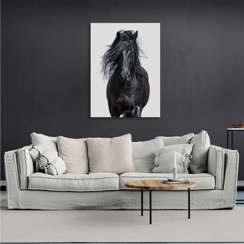 Black Horse Canvas Wall Art Print