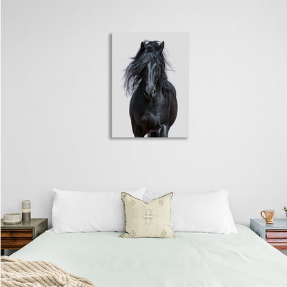 Black Horse Canvas Wall Art Print