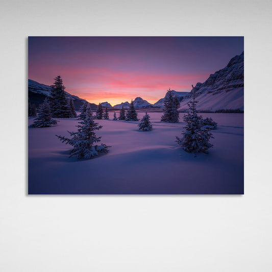 Snow, Christmas trees and mountains at night Canvas Wall Art Print