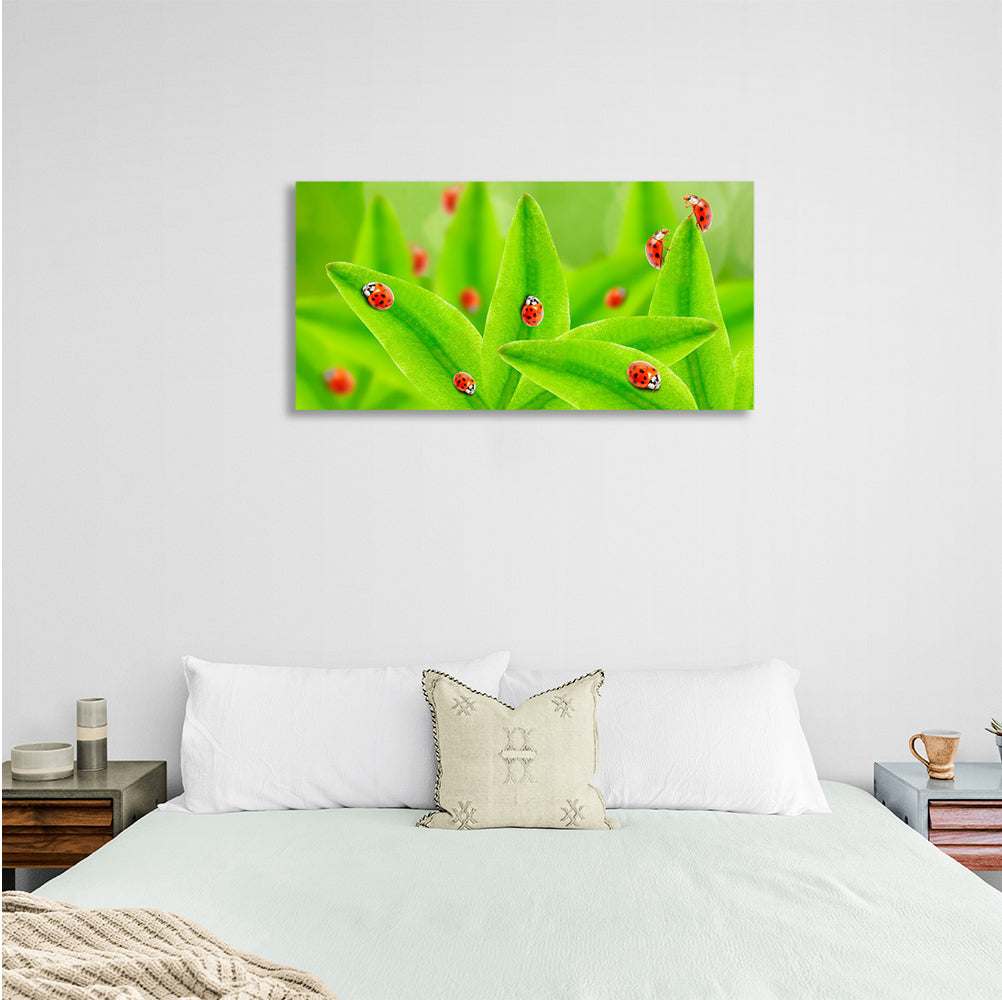 Green leaves and ladybugs Canvas Wall Art Print