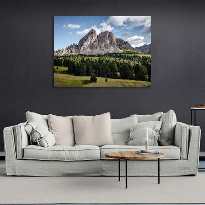 Canvas Wall Art Print Alpine forest