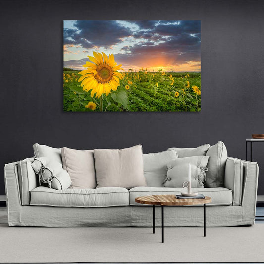 Canvas Wall Art Print Field of sunflowers