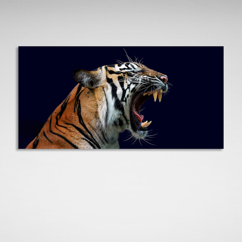 Roaring tigress on dark blue background Canvas Wall Art Print