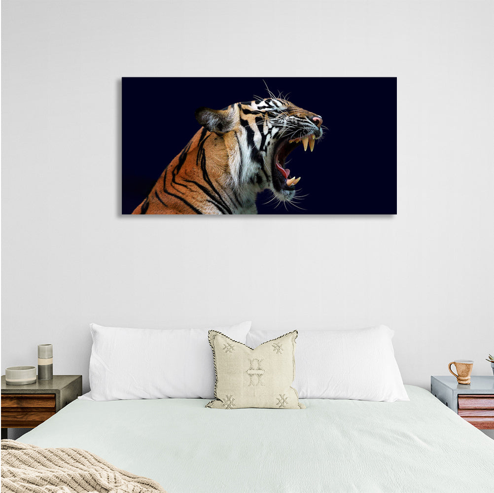 Roaring tigress on dark blue background Canvas Wall Art Print