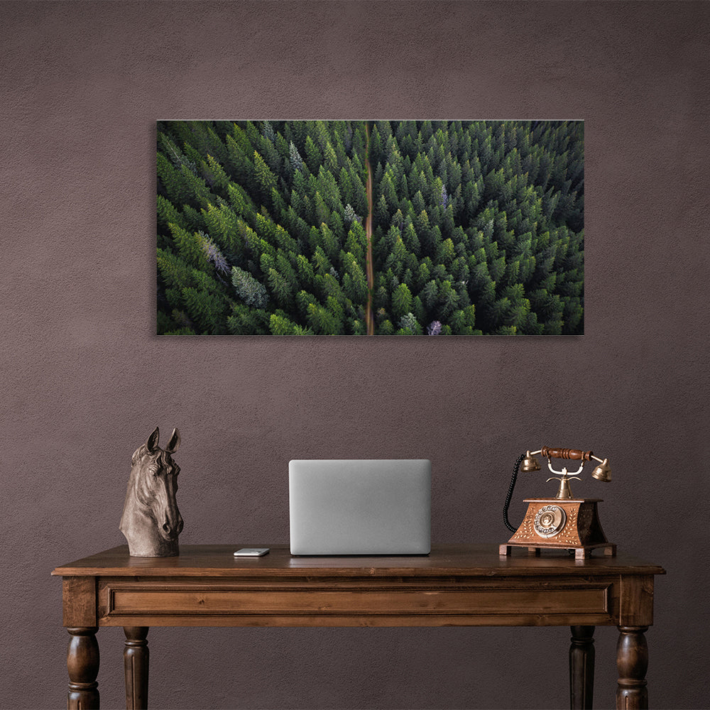 The road through the coniferous forest Canvas Wall Art Print