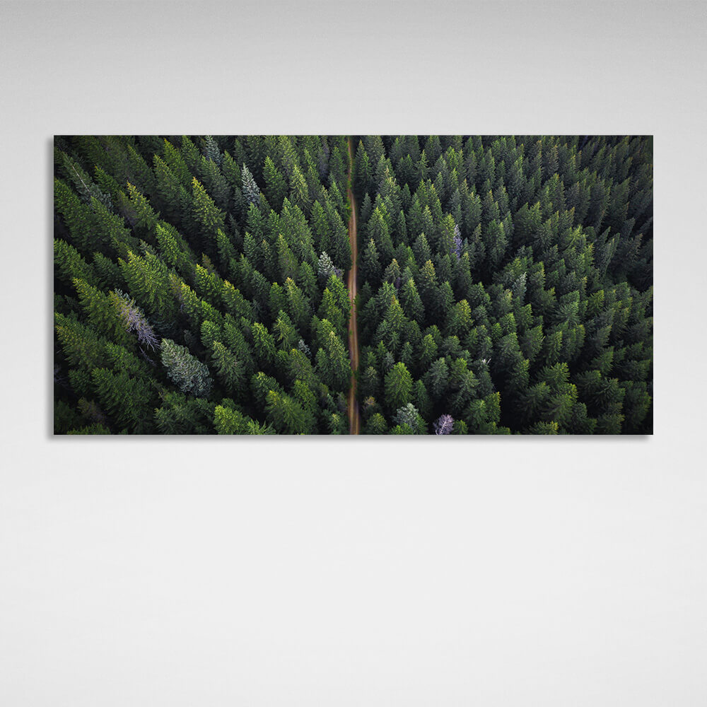 The road through the coniferous forest Canvas Wall Art Print