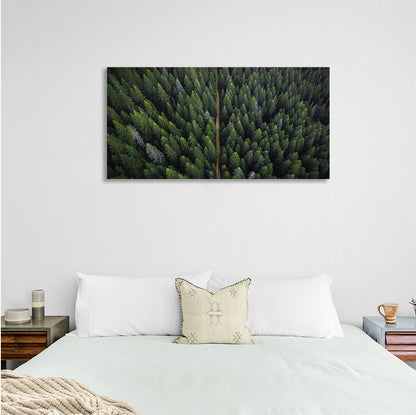 The road through the coniferous forest Canvas Wall Art Print