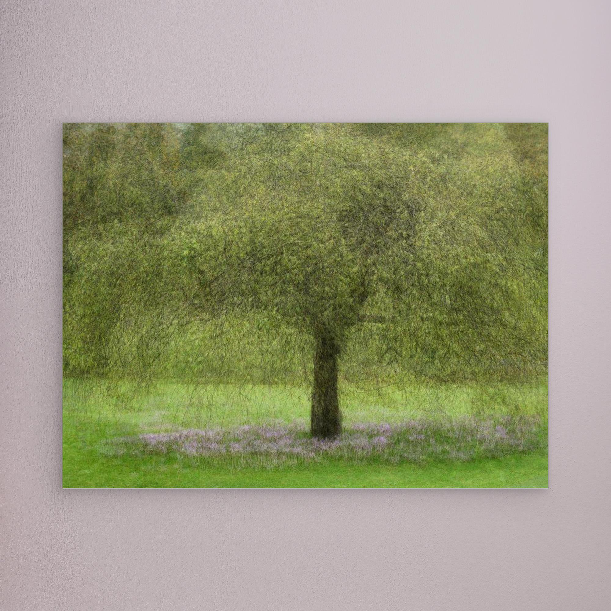 Youth by Katarina Holmström