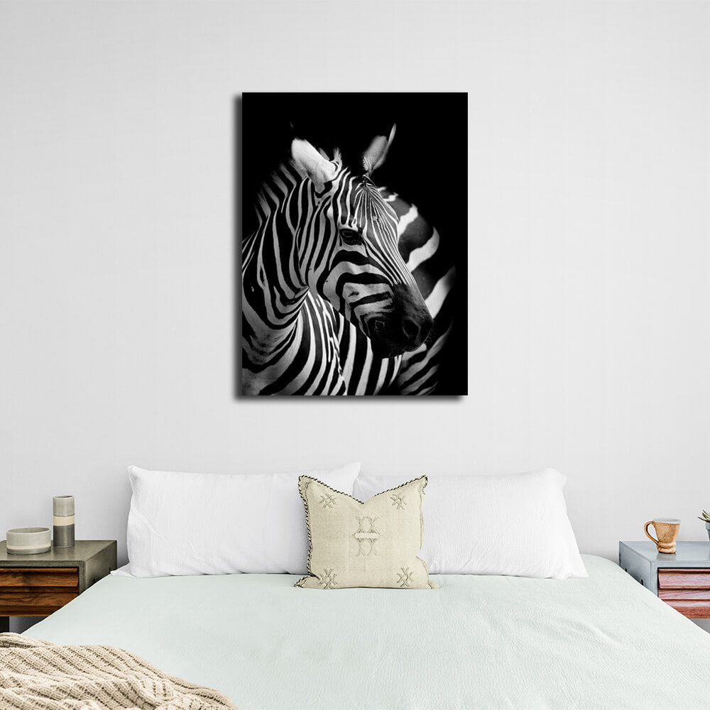 Black and white zebra Canvas Wall Art Print