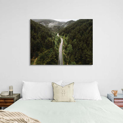 Canvas Wall Art Print Road through the misty forest