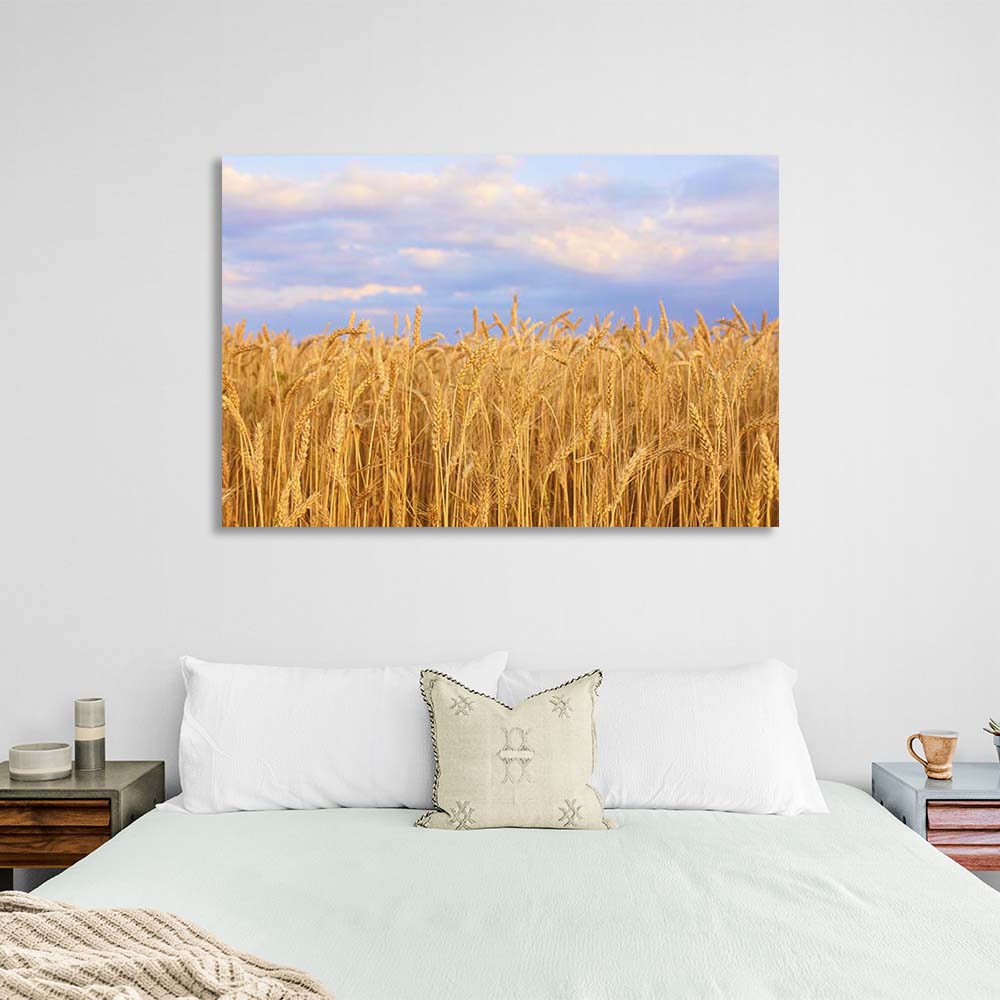 Canvas Wall Art Print Wheat field