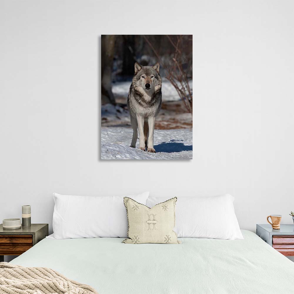 Canvas Wall Art Print Wolf in the winter forest