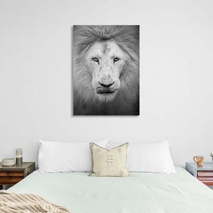 White lion Canvas Wall Art Print