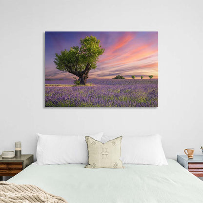 Canvas Wall Art Print Tree in a lavender field