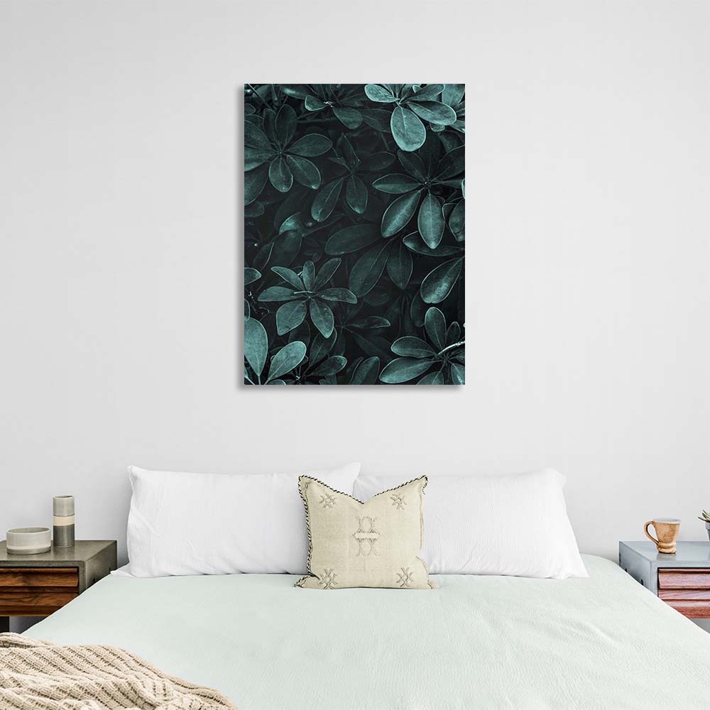 Canvas Wall Art Print Schefflera bush