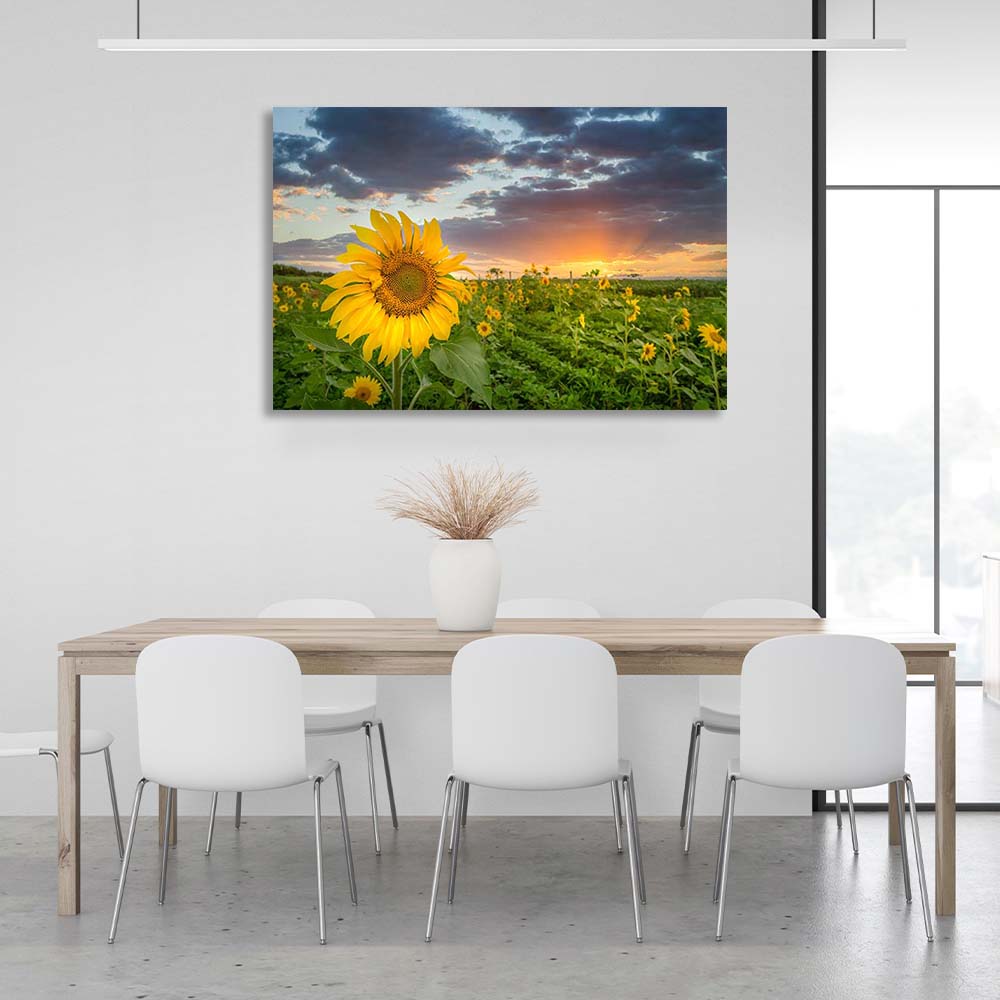 Canvas Wall Art Print Field of sunflowers