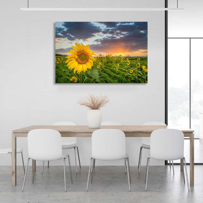 Canvas Wall Art Print Field of sunflowers