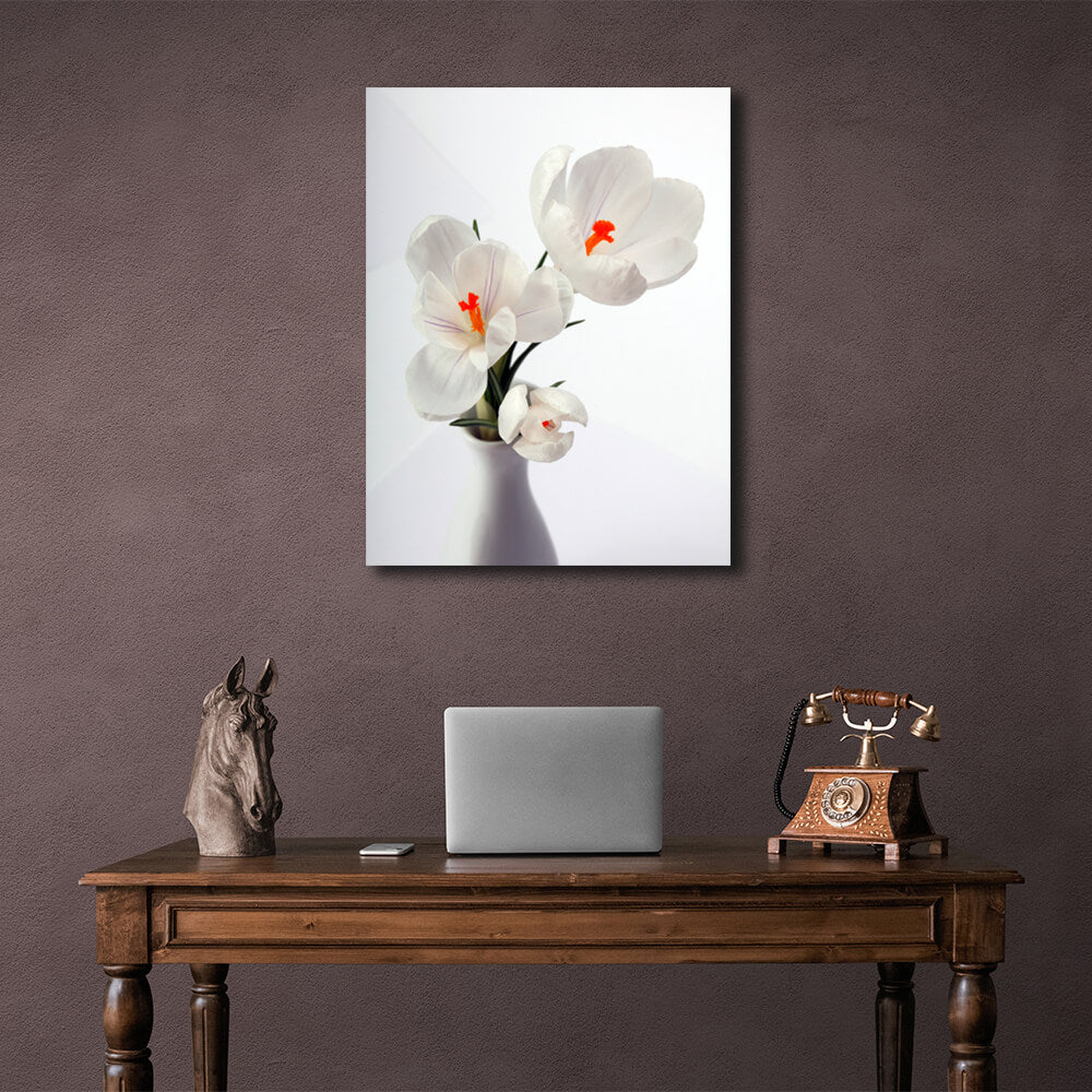 Interior Snowdrops Canvas Wall Art Print