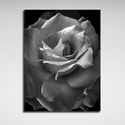 Interior Black and white rose Canvas Wall Art Print