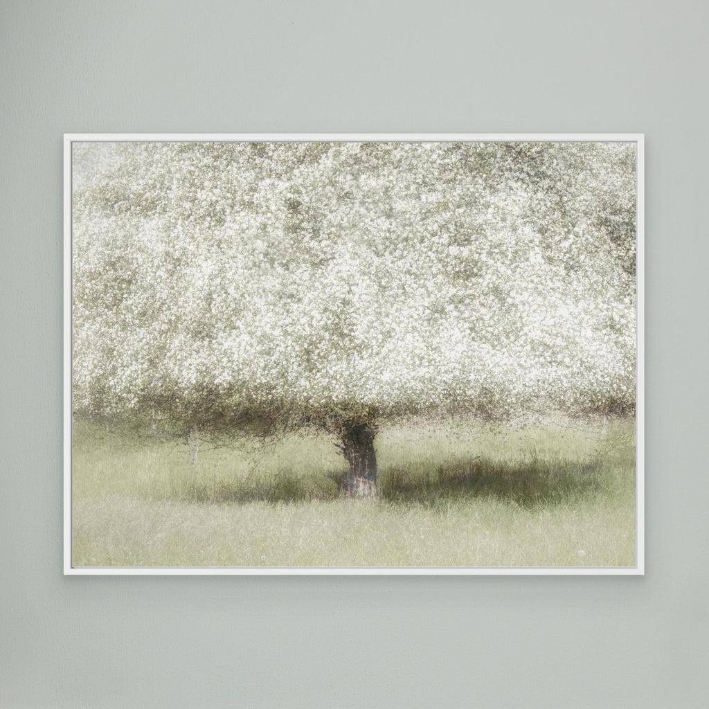 In the backyard by Nel Talen