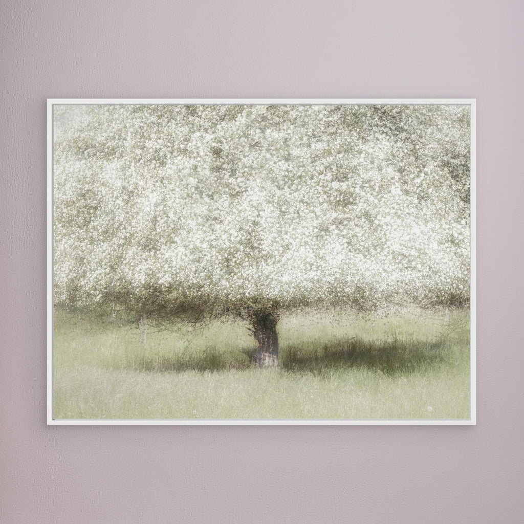 In the backyard by Nel Talen