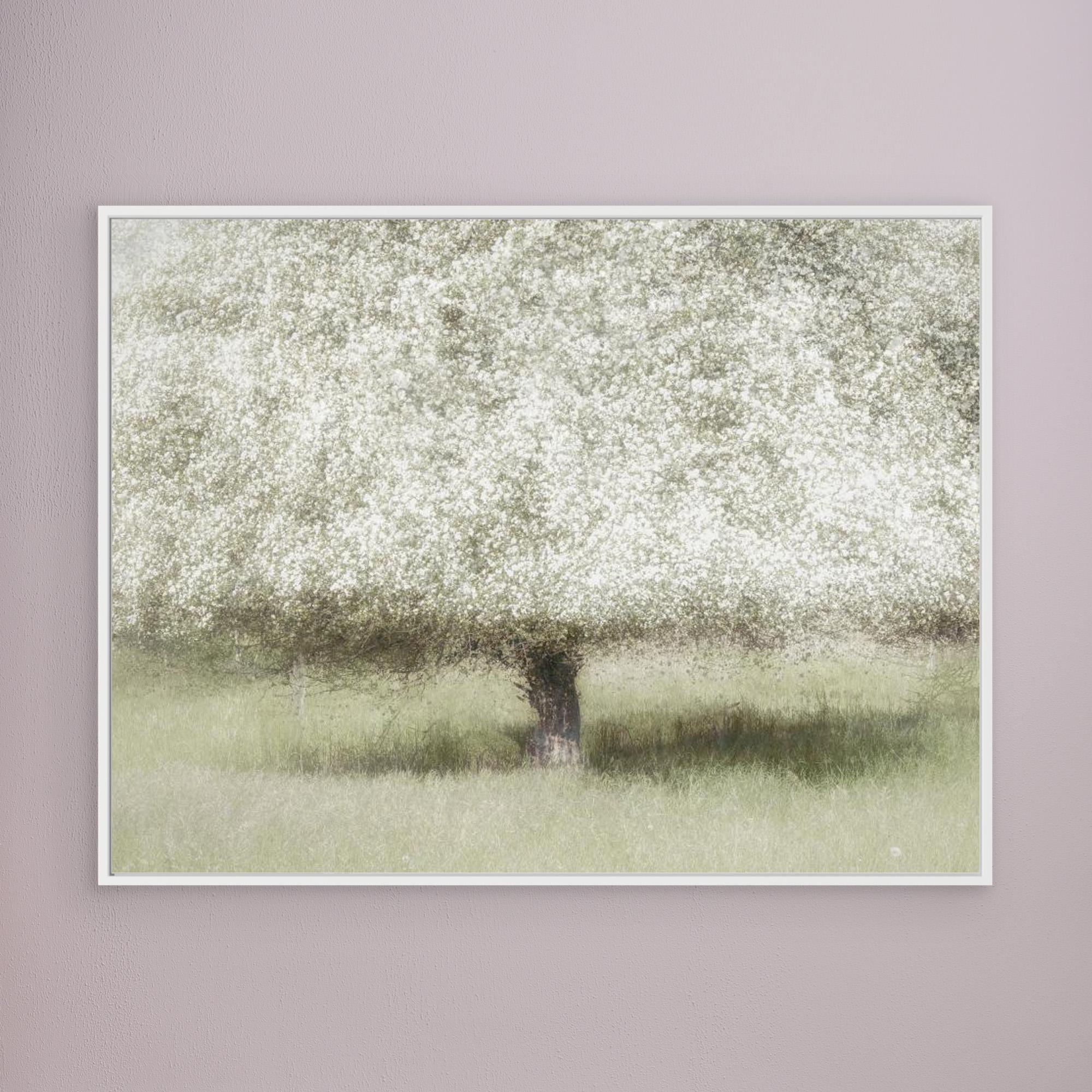 In the backyard by Nel Talen